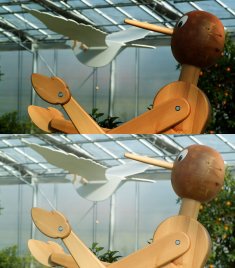 Il Pinocchio